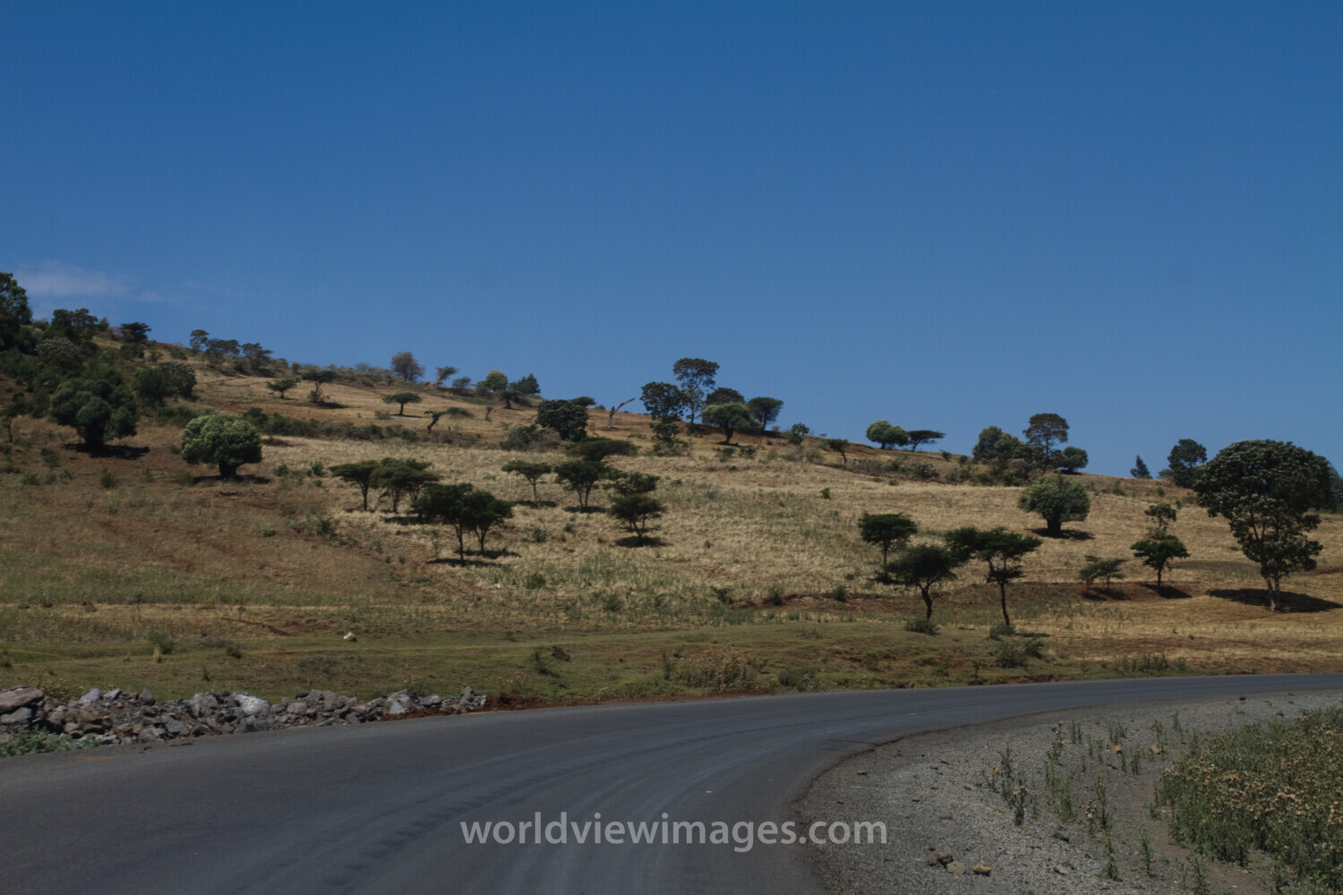 Road in Ethiopia