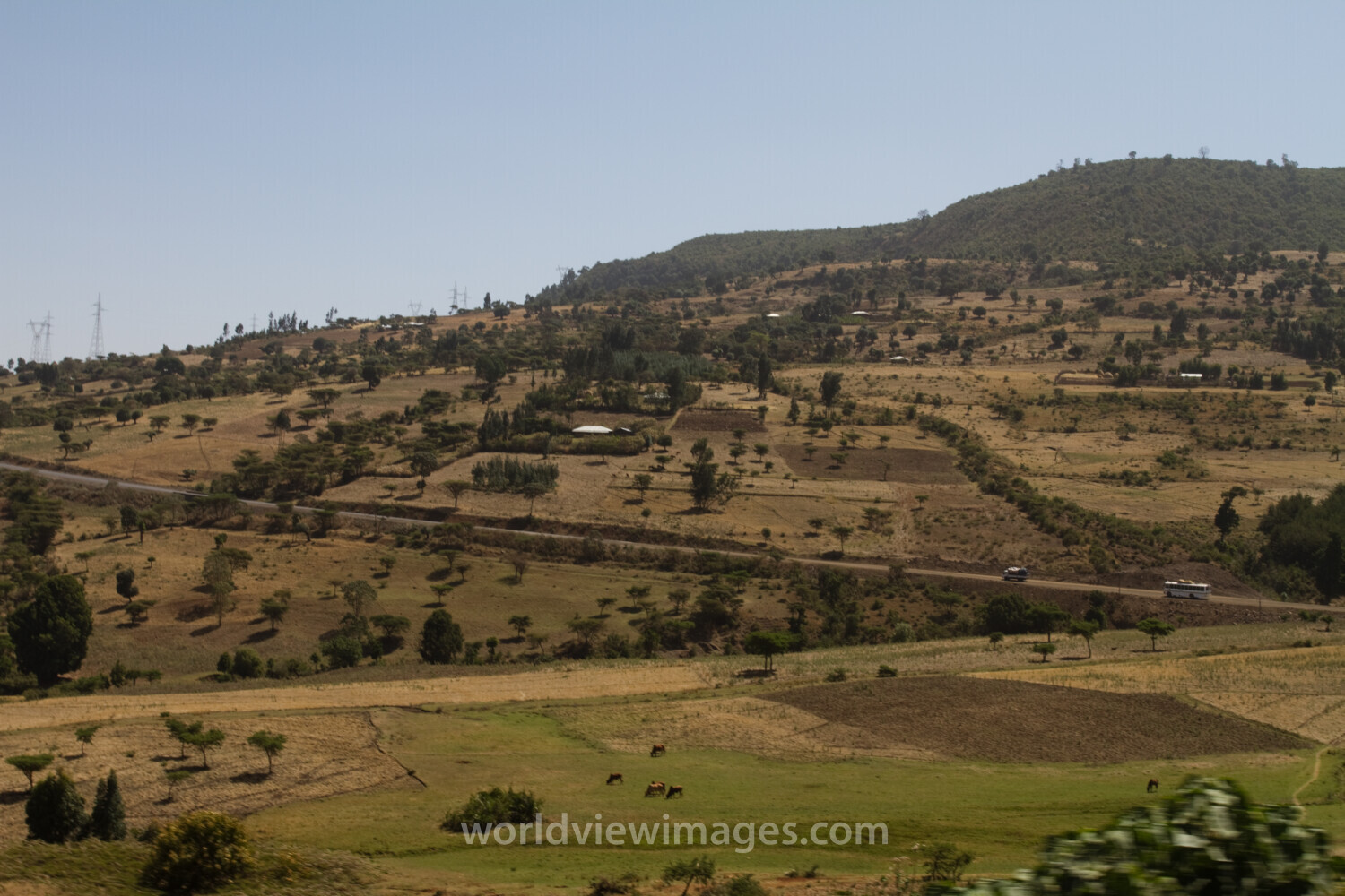 Farmland in Ethiopia