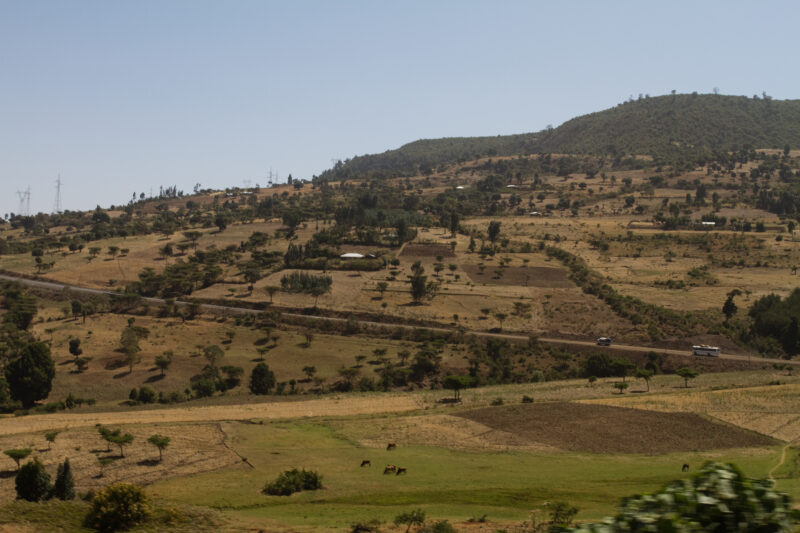 Farmland in Ethiopia — Ethiopia, Africa, African, Africans, Ethiopian