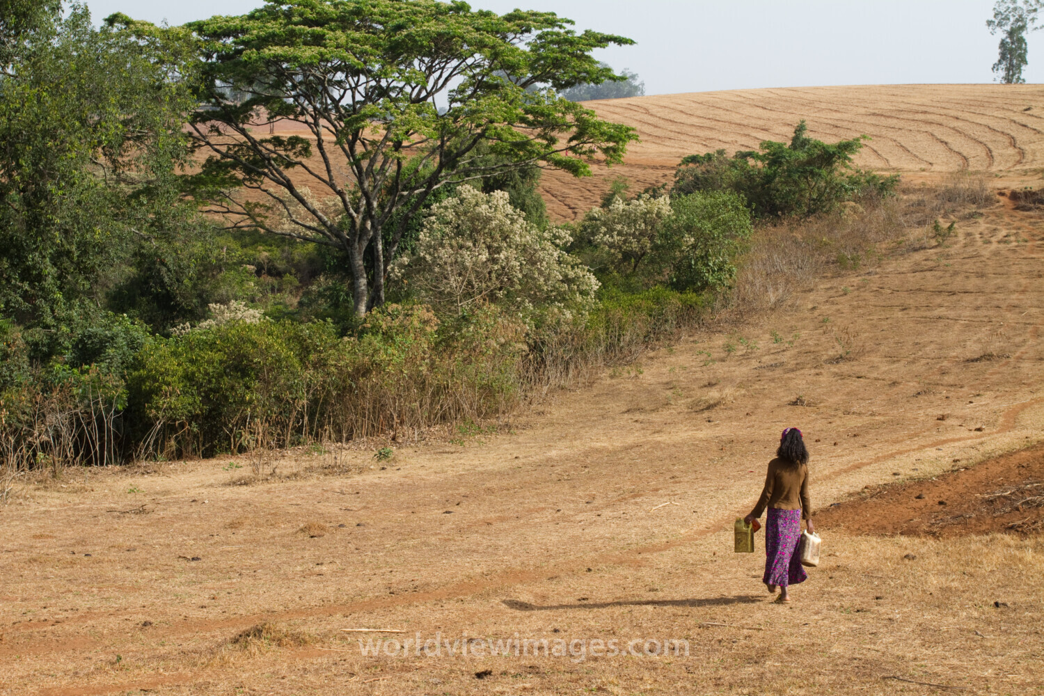 Collecting Water in Ethiopia