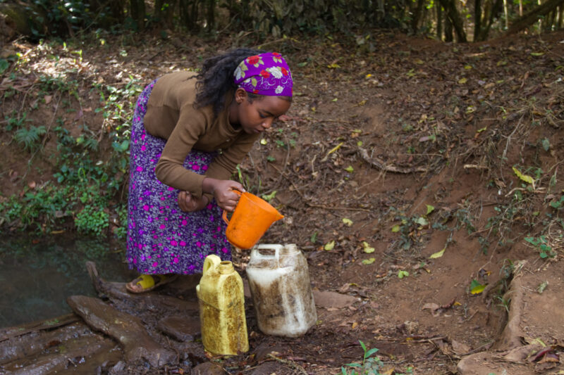Collecting Water in Ethiopia — Girl collects water from the spring for her family in rural Ethiopia — Ethiopia, Africa, African, Africans, Ethiopian