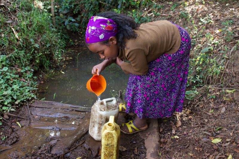 Collecting Water in Ethiopia — Girl collects water from the spring for her family in rural Ethiopia — Ethiopia, Africa, African, Africans, Ethiopian
