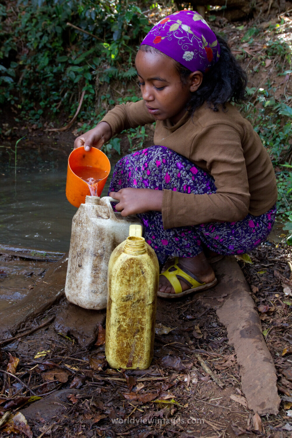 Collecting Water in Ethiopia