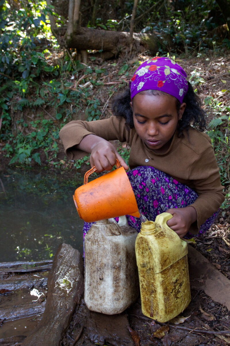 Collecting Water in Ethiopia — Girl collects water from the spring for her family in rural Ethiopia — Ethiopia, Africa, African, Africans, Ethiopian