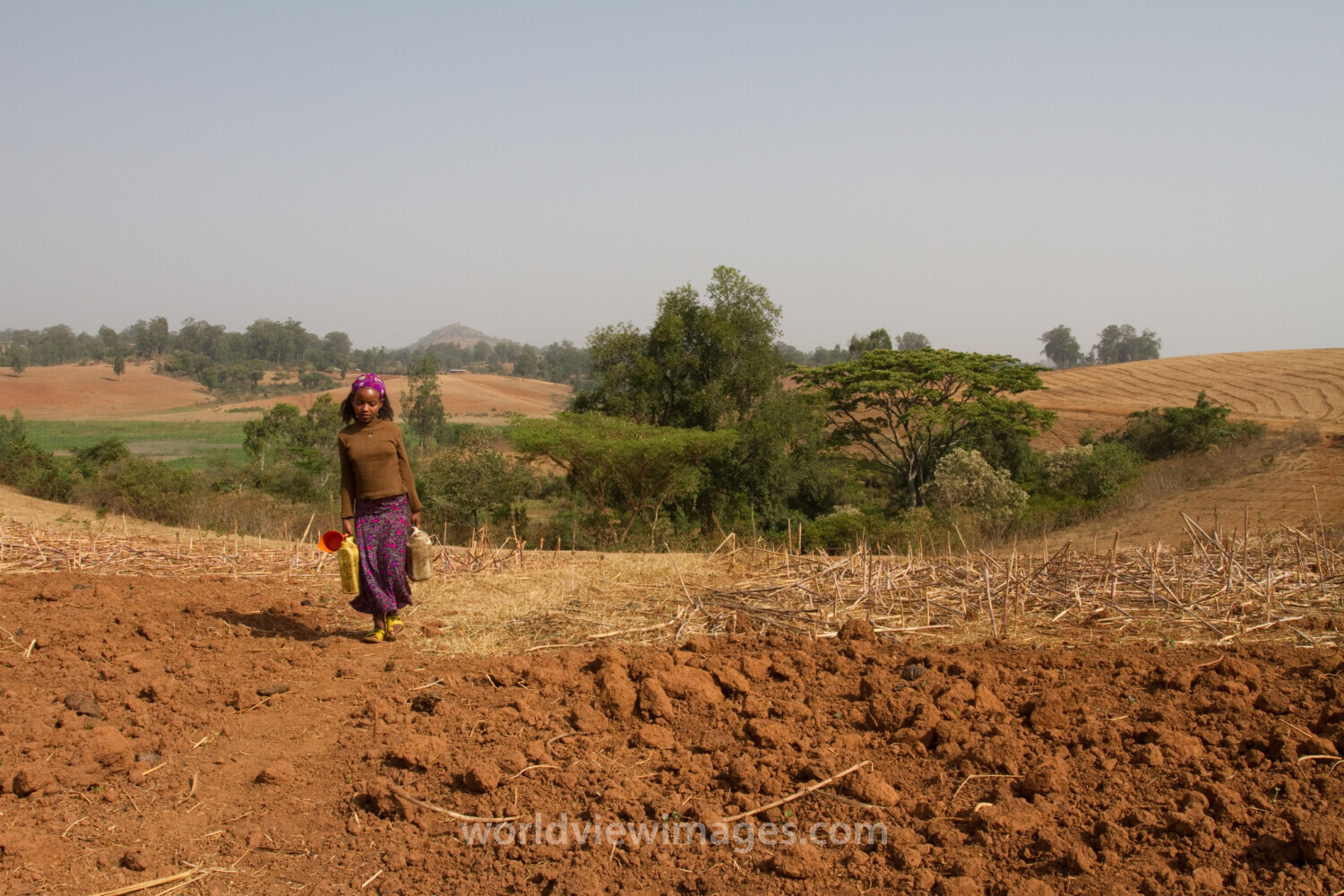 Collecting Water in Ethiopia