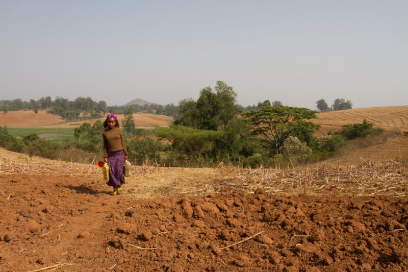 Collecting Water in Ethiopia — Girl collects water from the spring for her family in rural Ethiopia — Ethiopia, Africa, African, Africans, Ethiopian