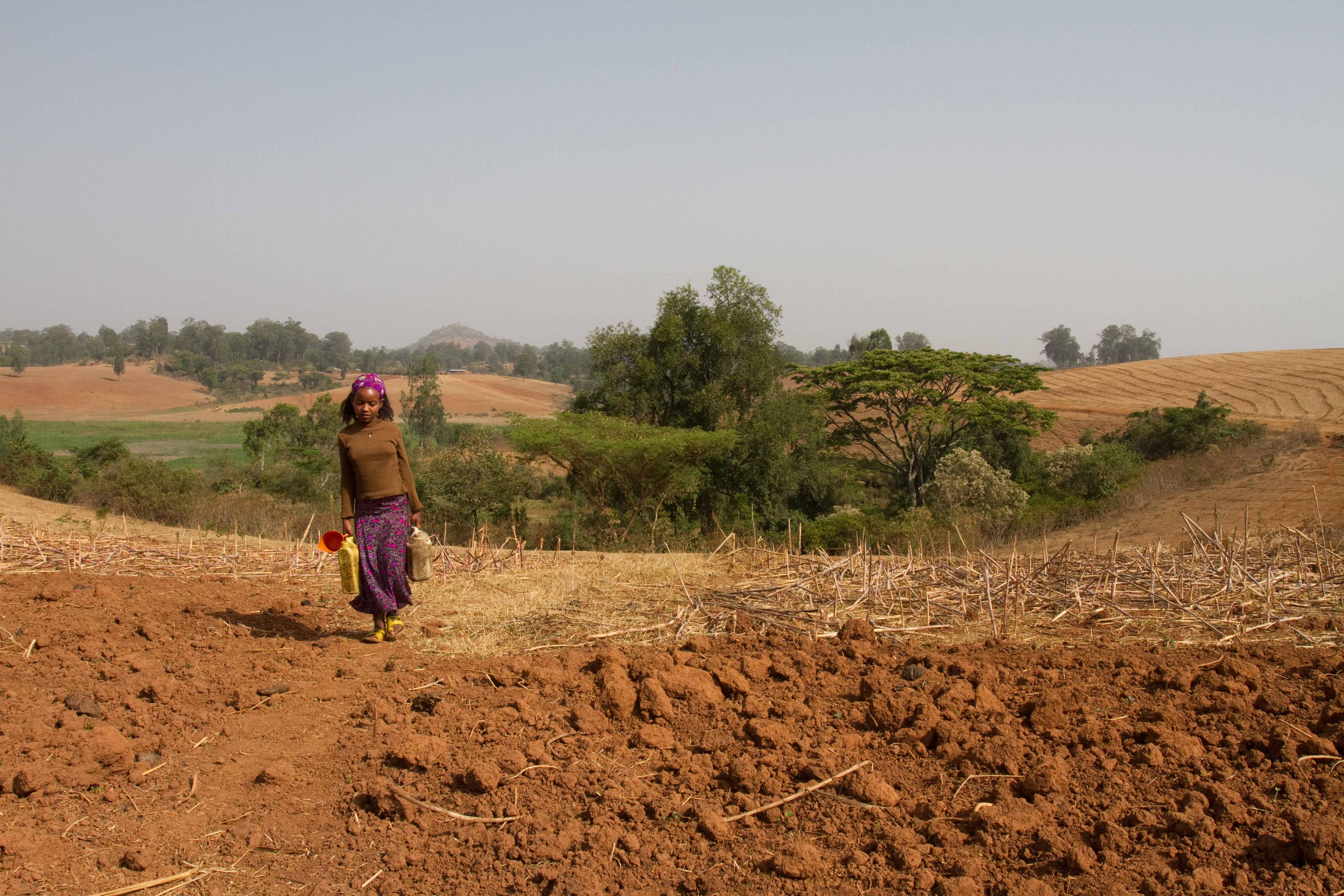 Collecting Water in Ethiopia
