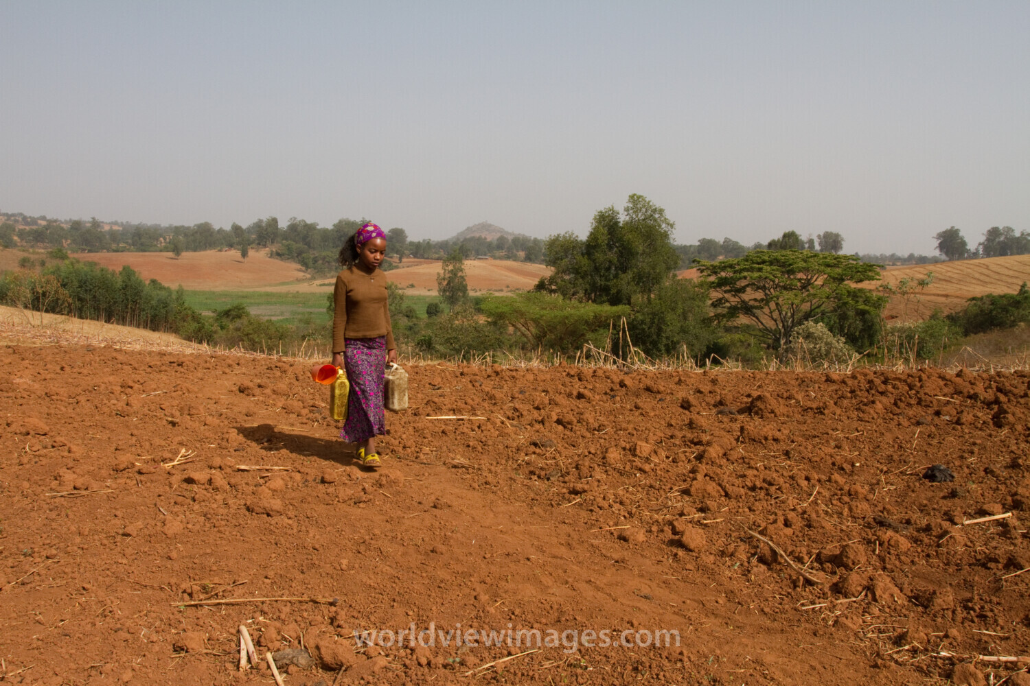 Collecting Water in Ethiopia