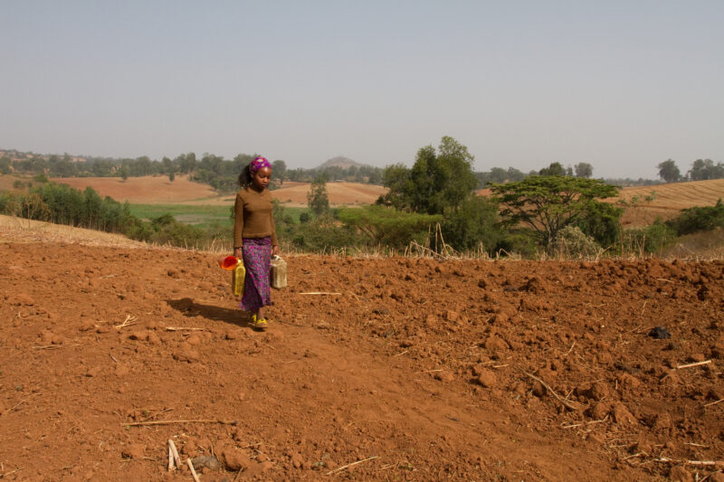 Collecting Water in Ethiopia — Girl collects water from the spring for her family in rural Ethiopia — Ethiopia, Africa, African, Africans, Ethiopian