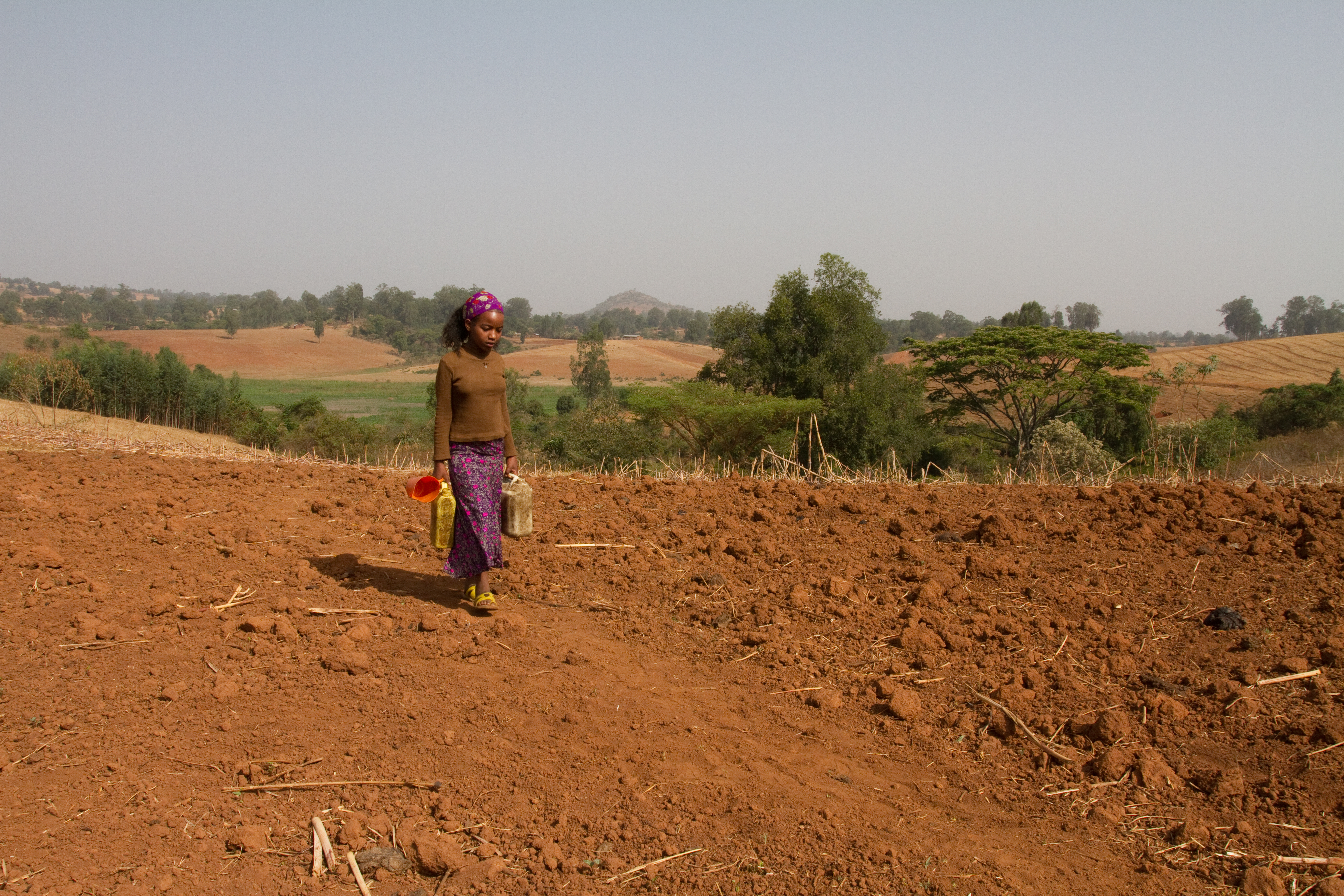 Collecting Water in Ethiopia