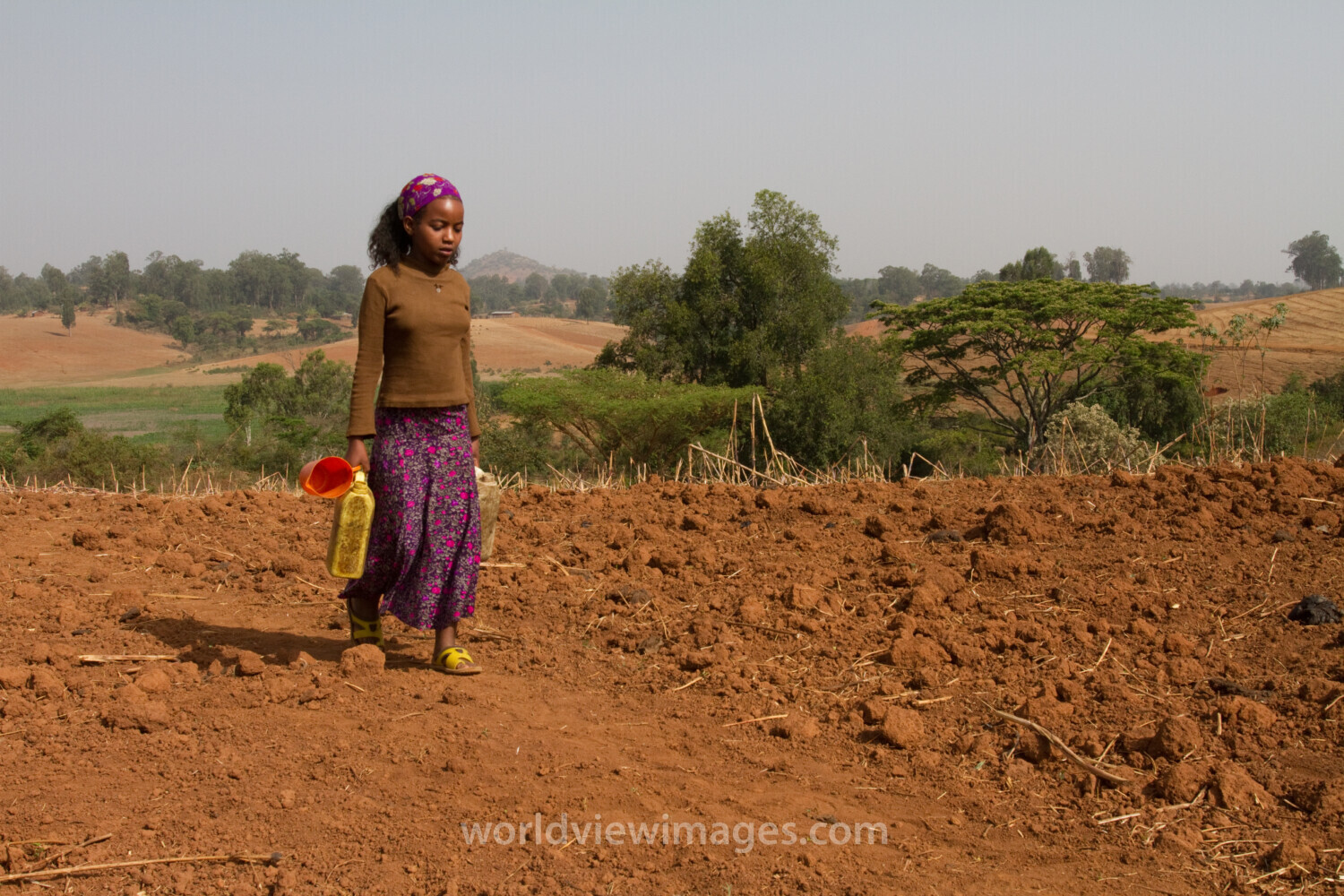 Collecting Water in Ethiopia