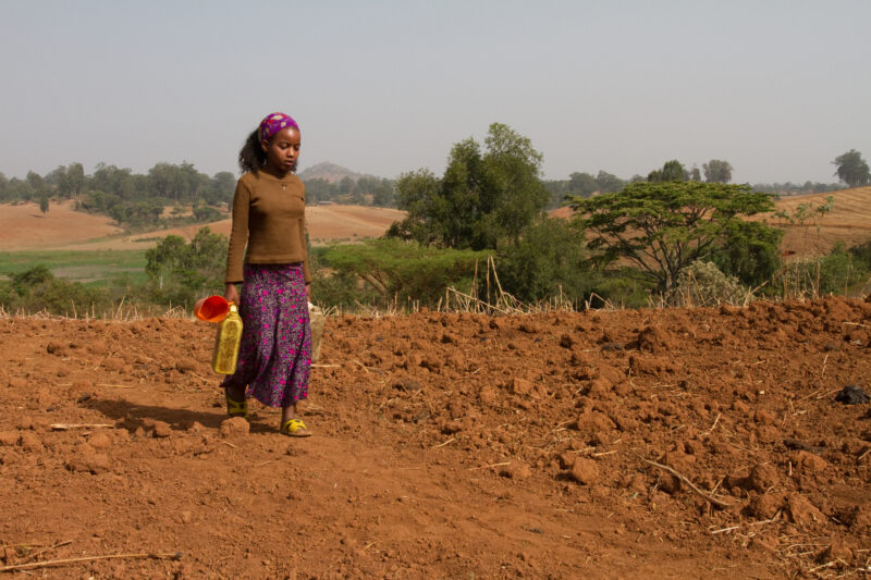 Collecting Water in Ethiopia — Girl collects water from the spring for her family in rural Ethiopia — Ethiopia, Africa, African, Africans, Ethiopian