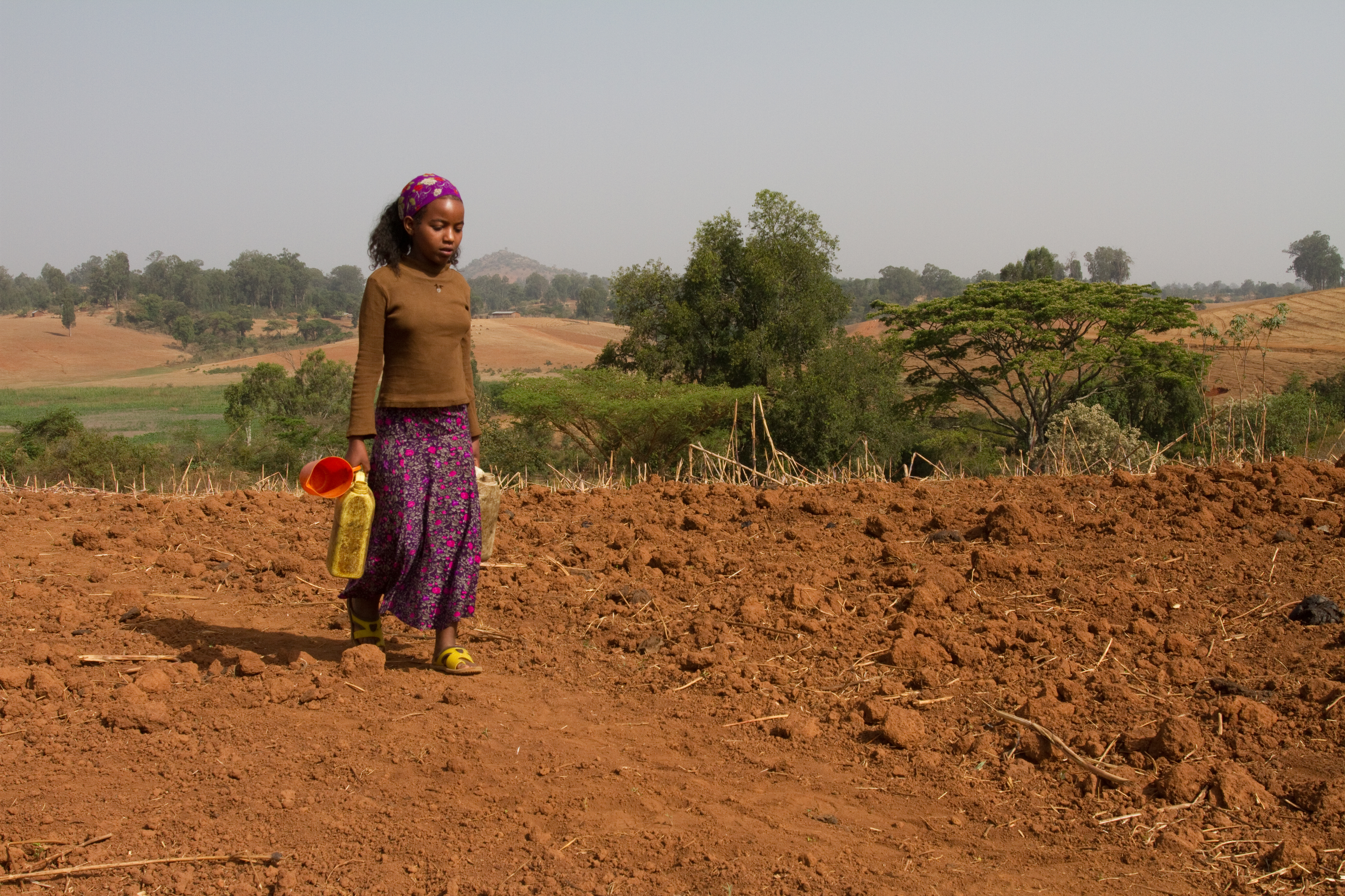 Collecting Water in Ethiopia