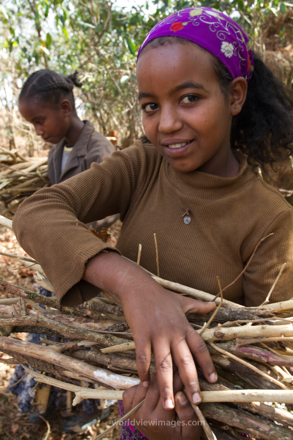 Collecting Firewood inEthiopia