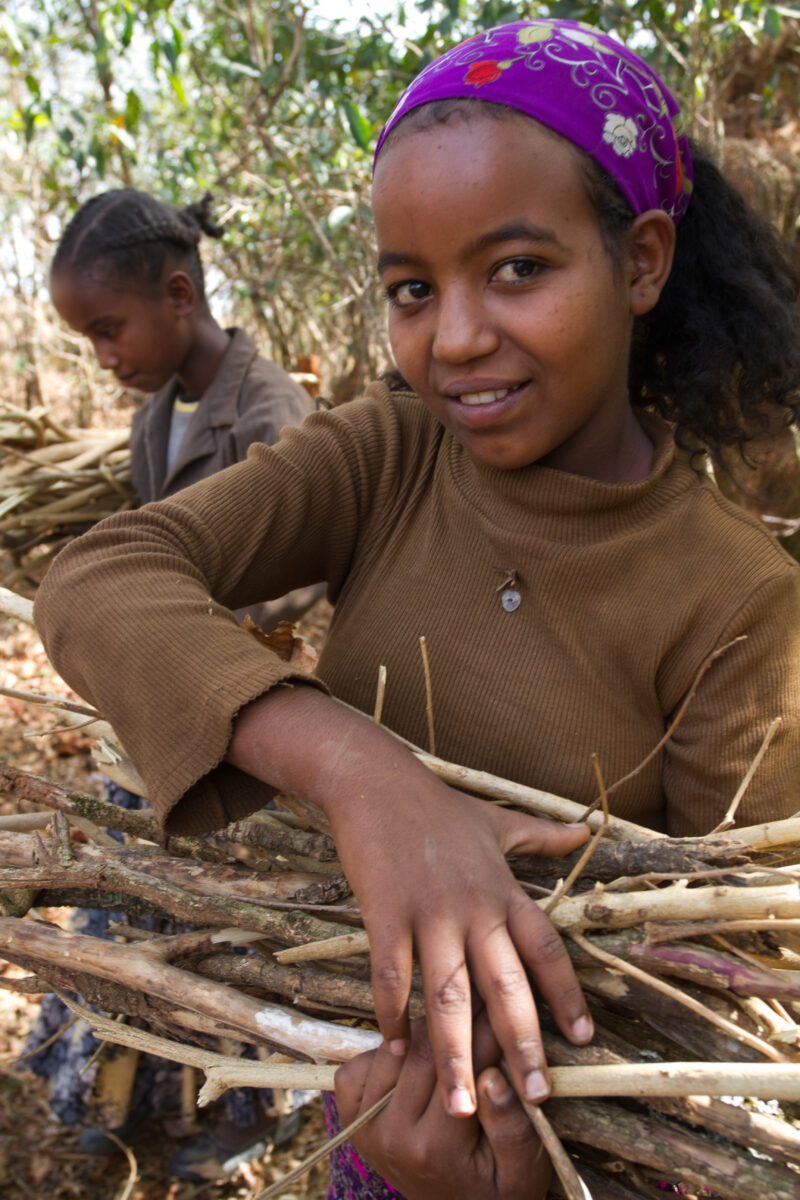 Collecting Firewood inEthiopia — Young girl in Ethiopia collects firewood for her family — Ethiopia, Africa, African, Africans, Ethiopian