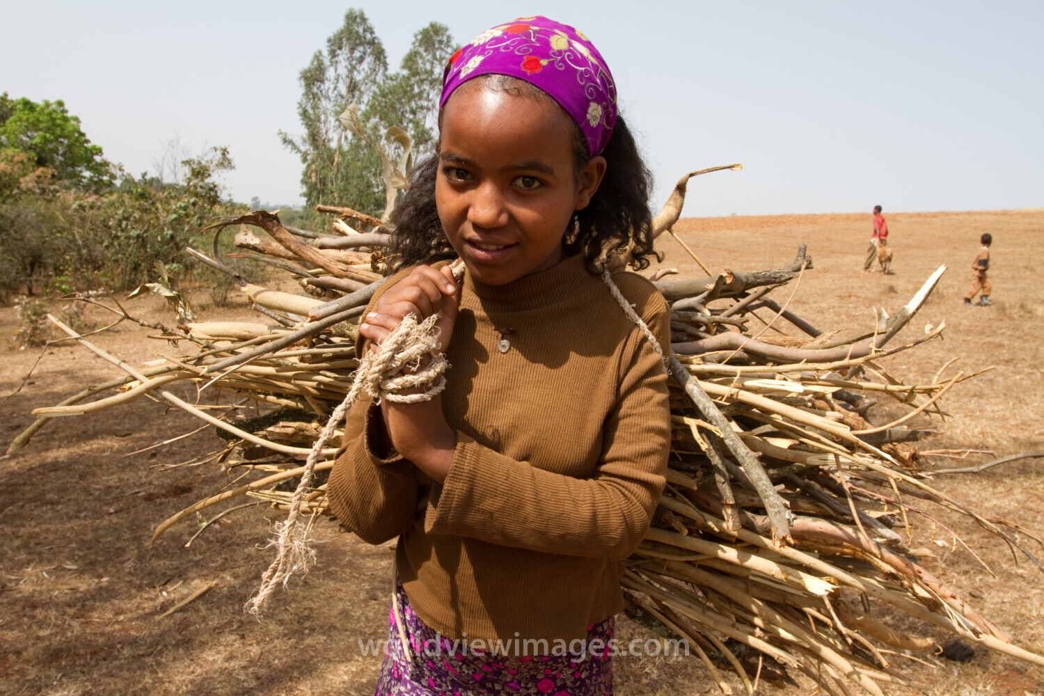 Collecting Firewood inEthiopia