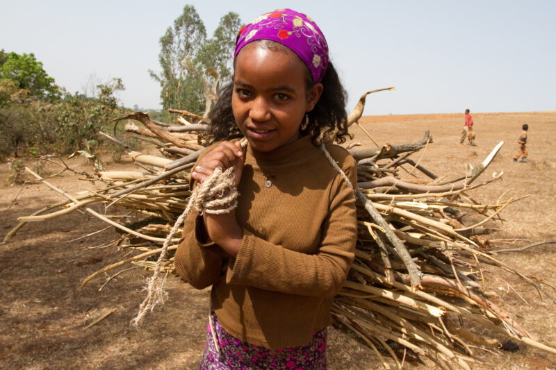 Collecting Firewood inEthiopia — Young girl in Ethiopia collects firewood for her family — Ethiopia, Africa, African, Africans, Ethiopian
