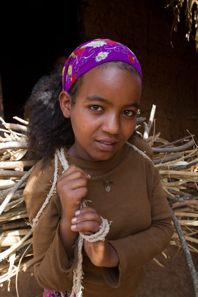 Collecting Firewood inEthiopia — Young girl in Ethiopia collects firewood for her family — Ethiopia, Africa, African, Africans, Ethiopian