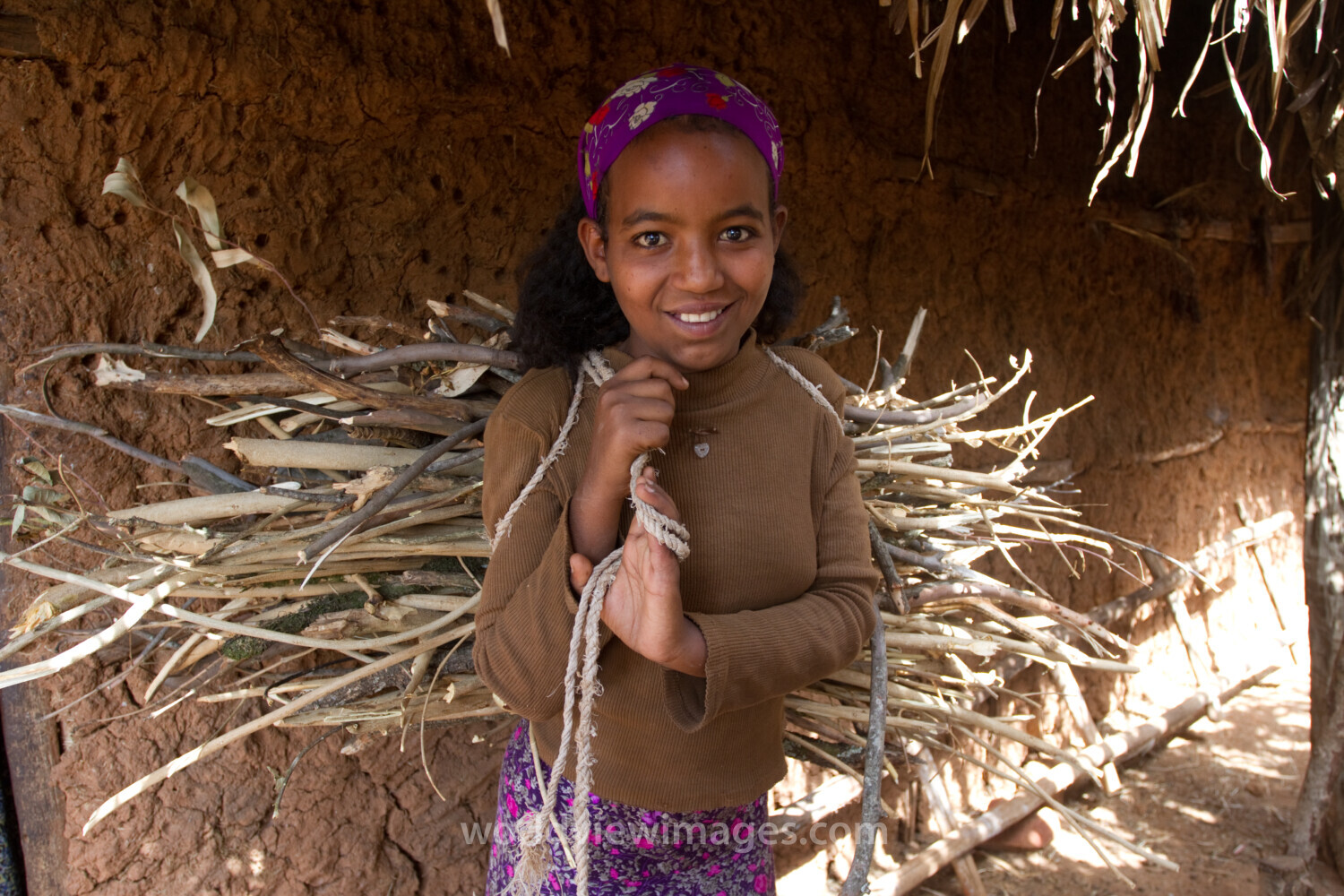 Collecting Firewood inEthiopia