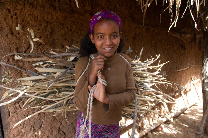 Collecting Firewood inEthiopia — Young girl in Ethiopia collects firewood for her family — Ethiopia, Africa, African, Africans, Ethiopian