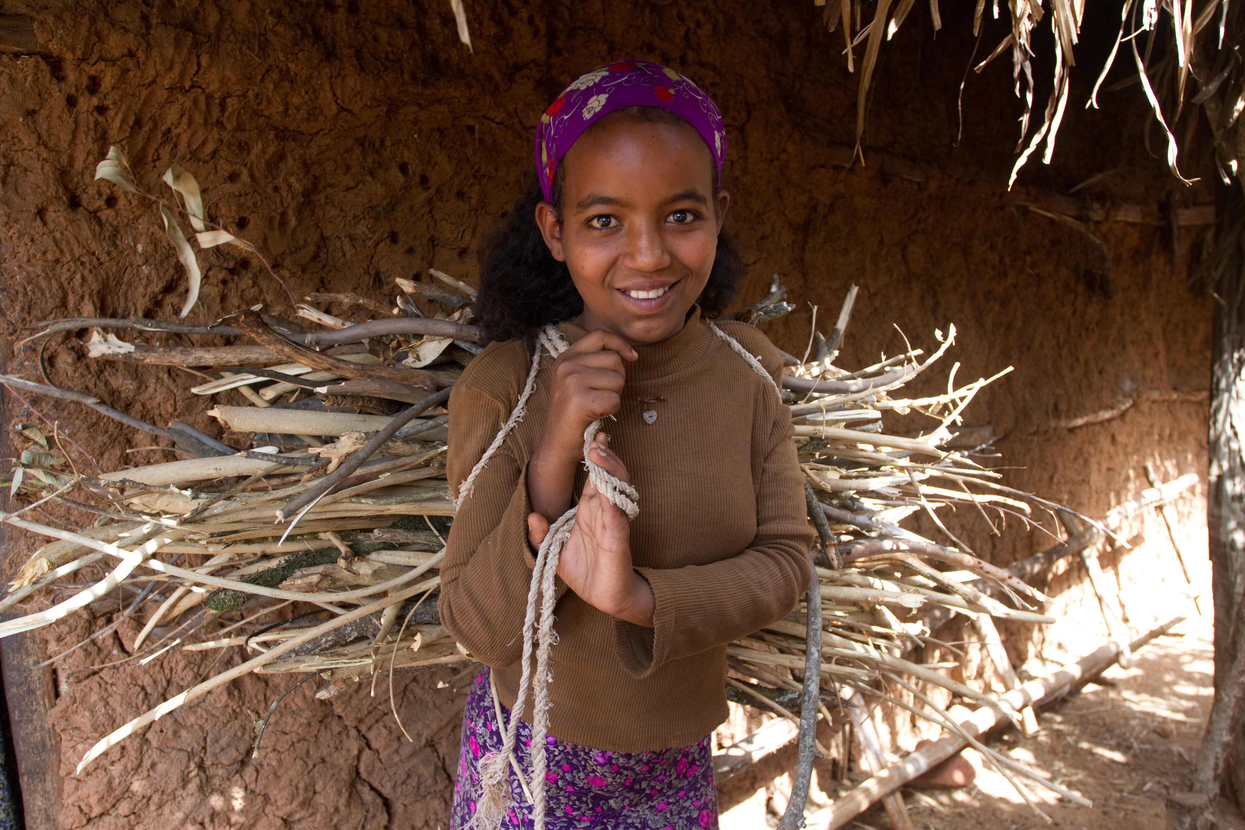 Collecting Firewood inEthiopia