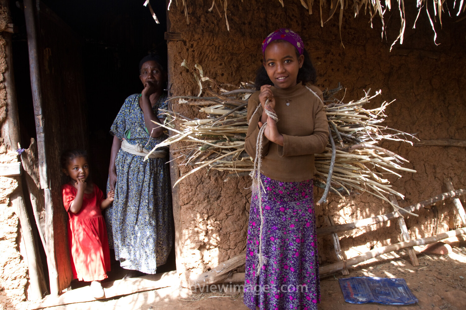 Collecting Firewood inEthiopia