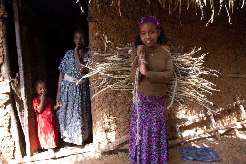 Collecting Firewood inEthiopia — Young girl in Ethiopia collects firewood for her family — Ethiopia, Africa, African, Africans, Ethiopian