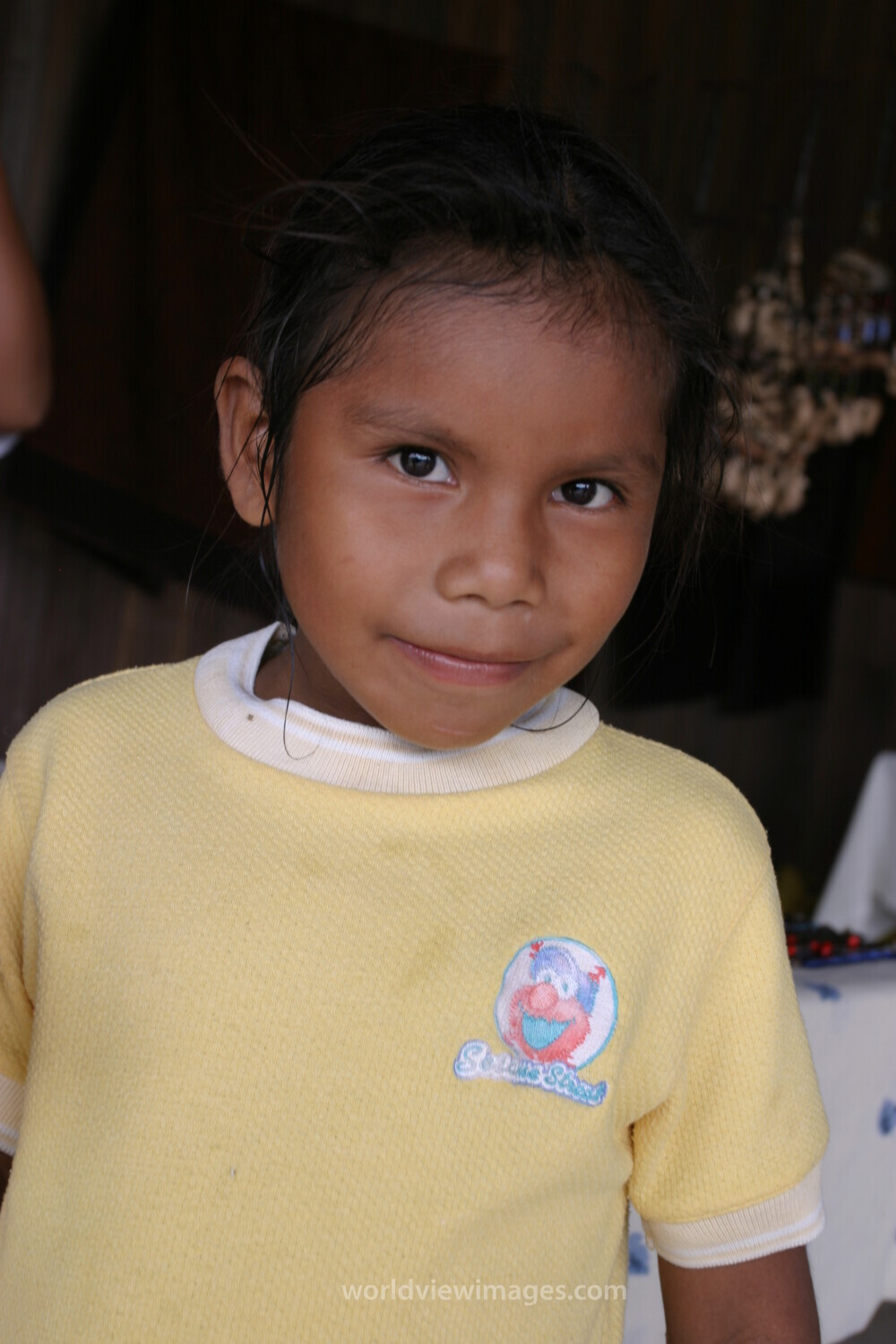 Amerindian Girl in Peru