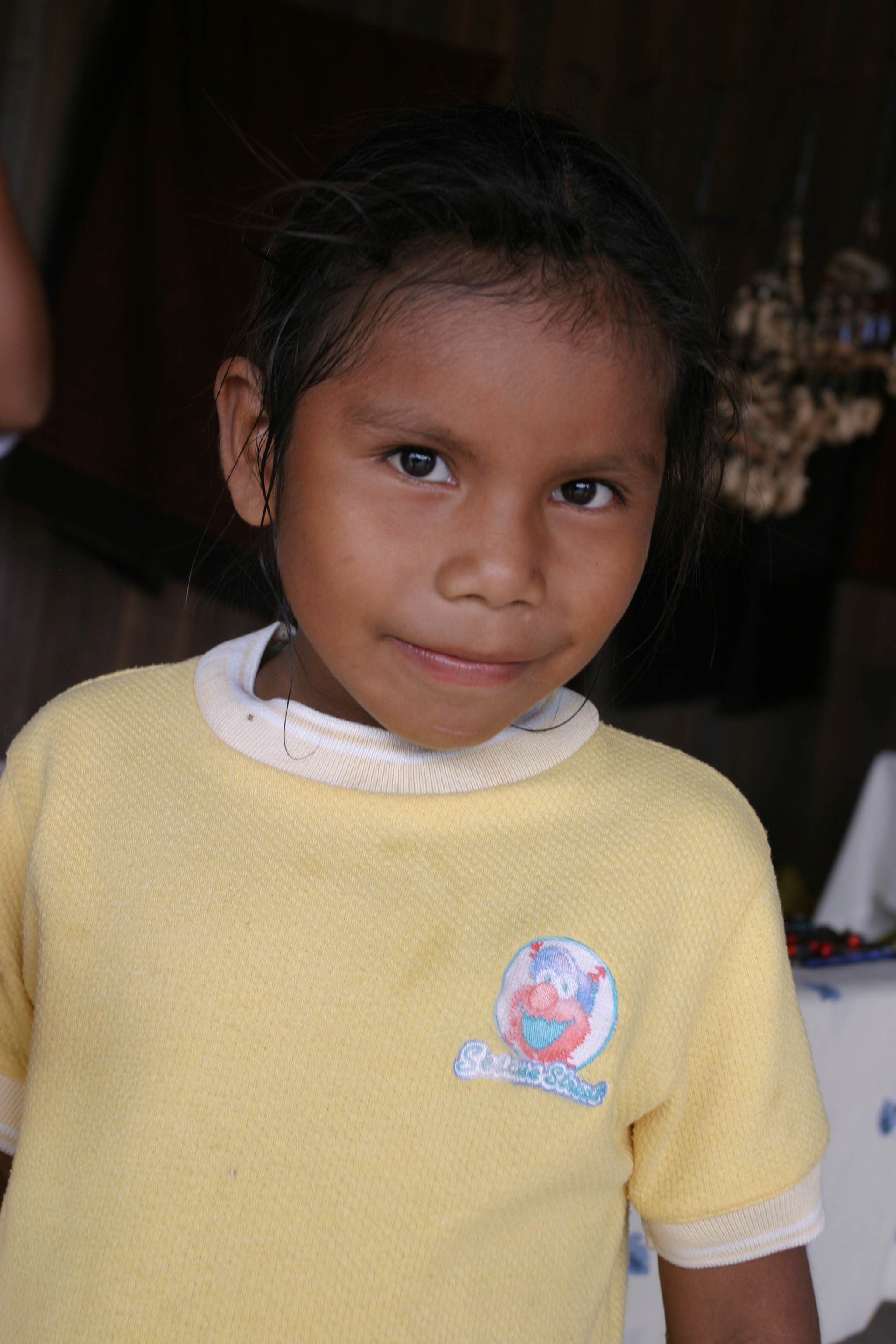 Amerindian Girl in Peru