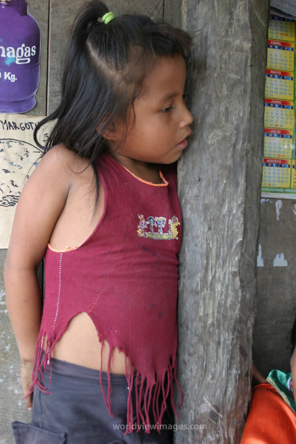 Amerindian Girl in Peru