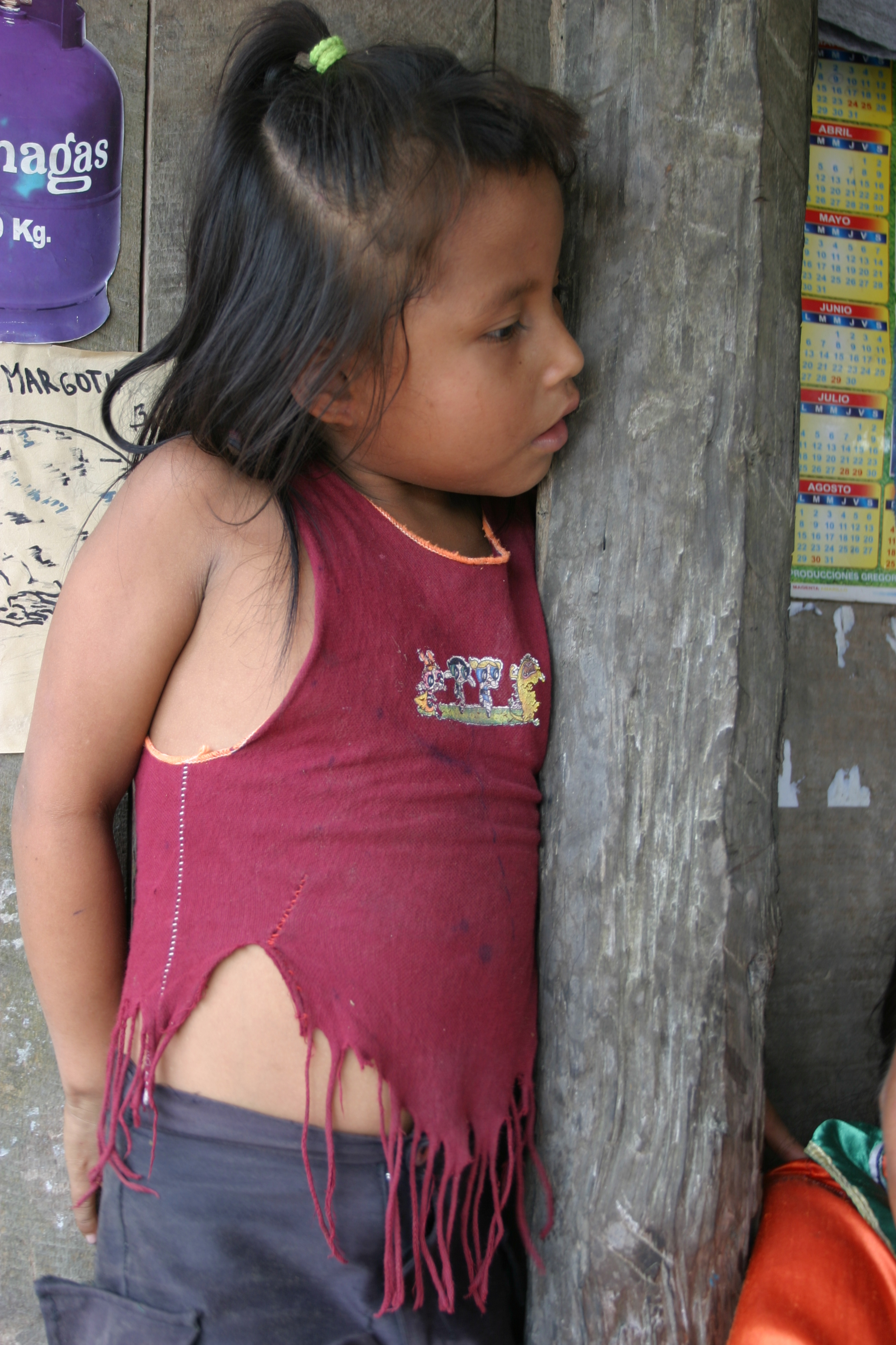 Amerindian Girl in Peru