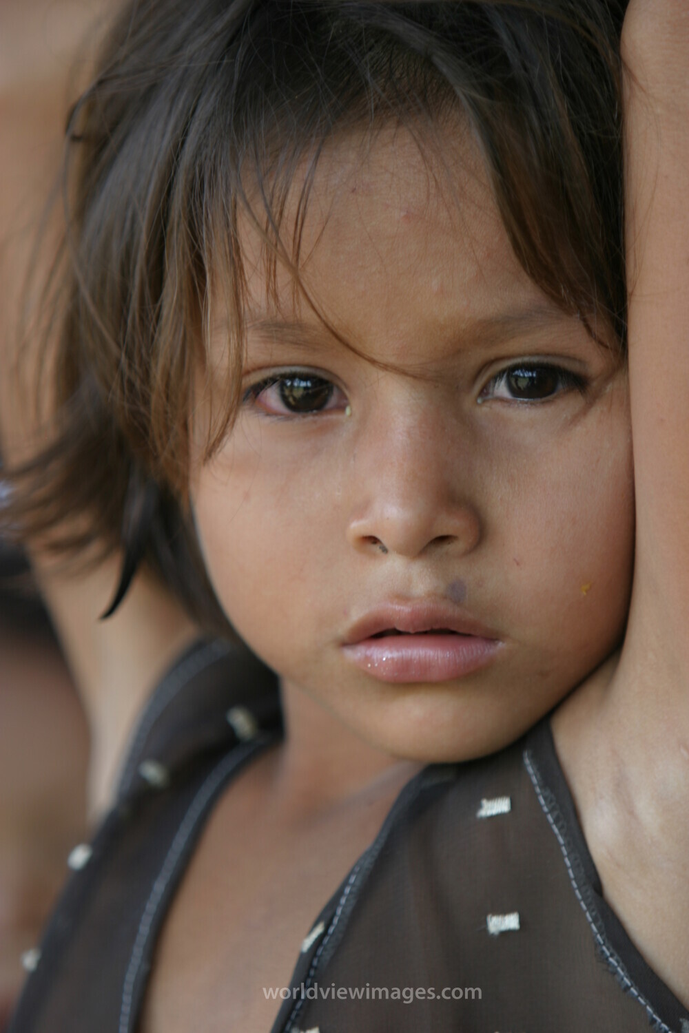 Amerindian Girl in Peru