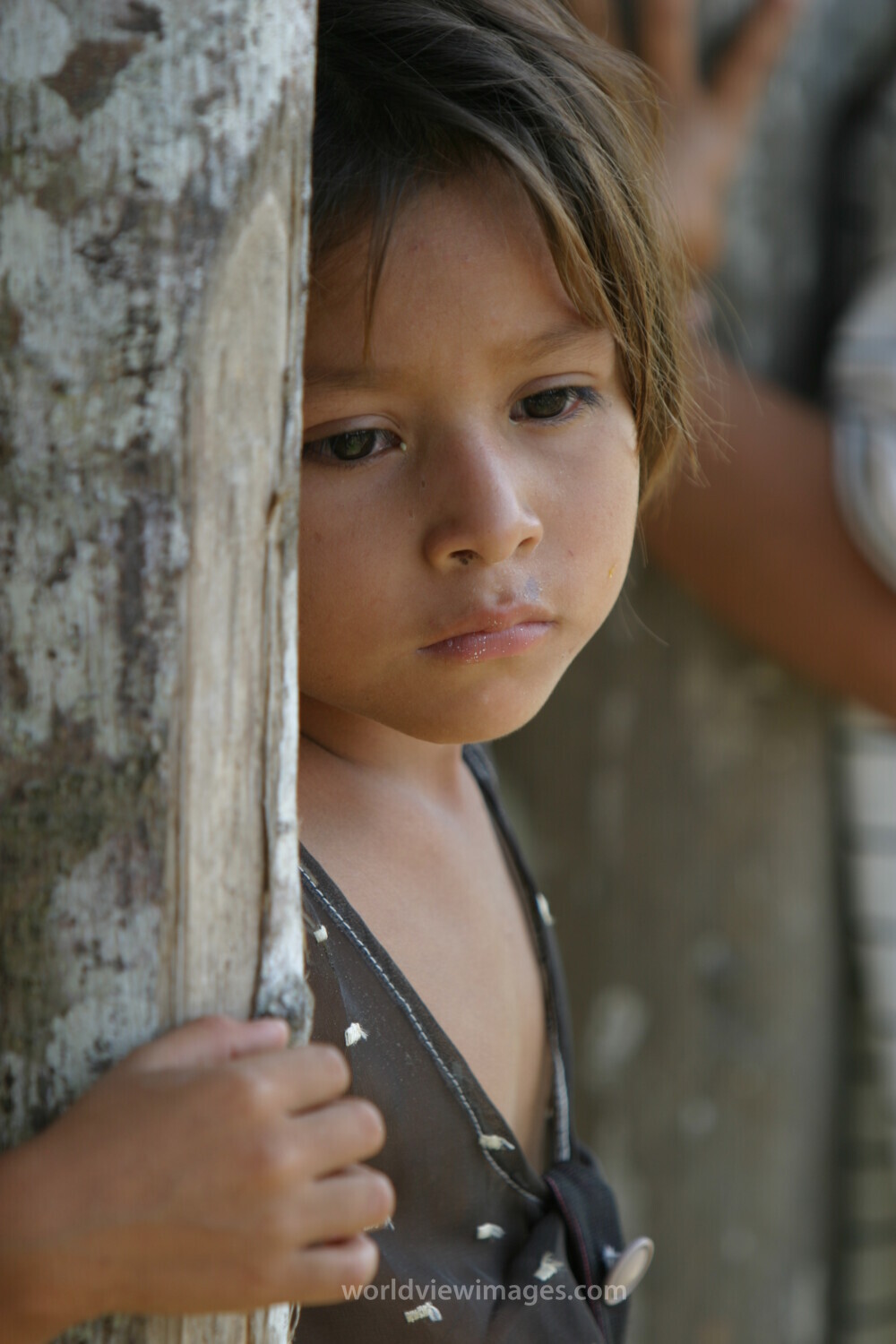 Amerindian Girl in Peru