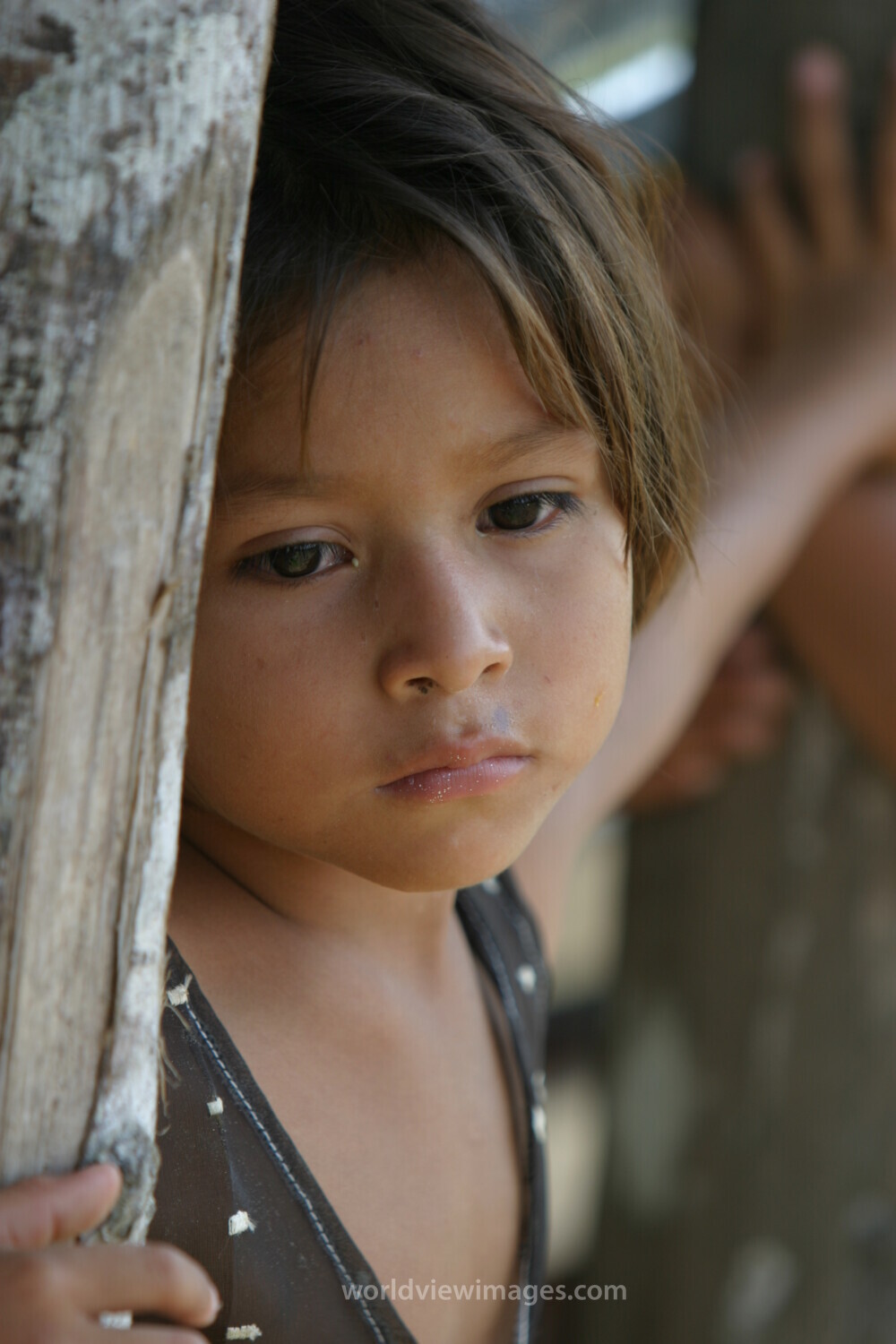 Amerindian Girl in Peru