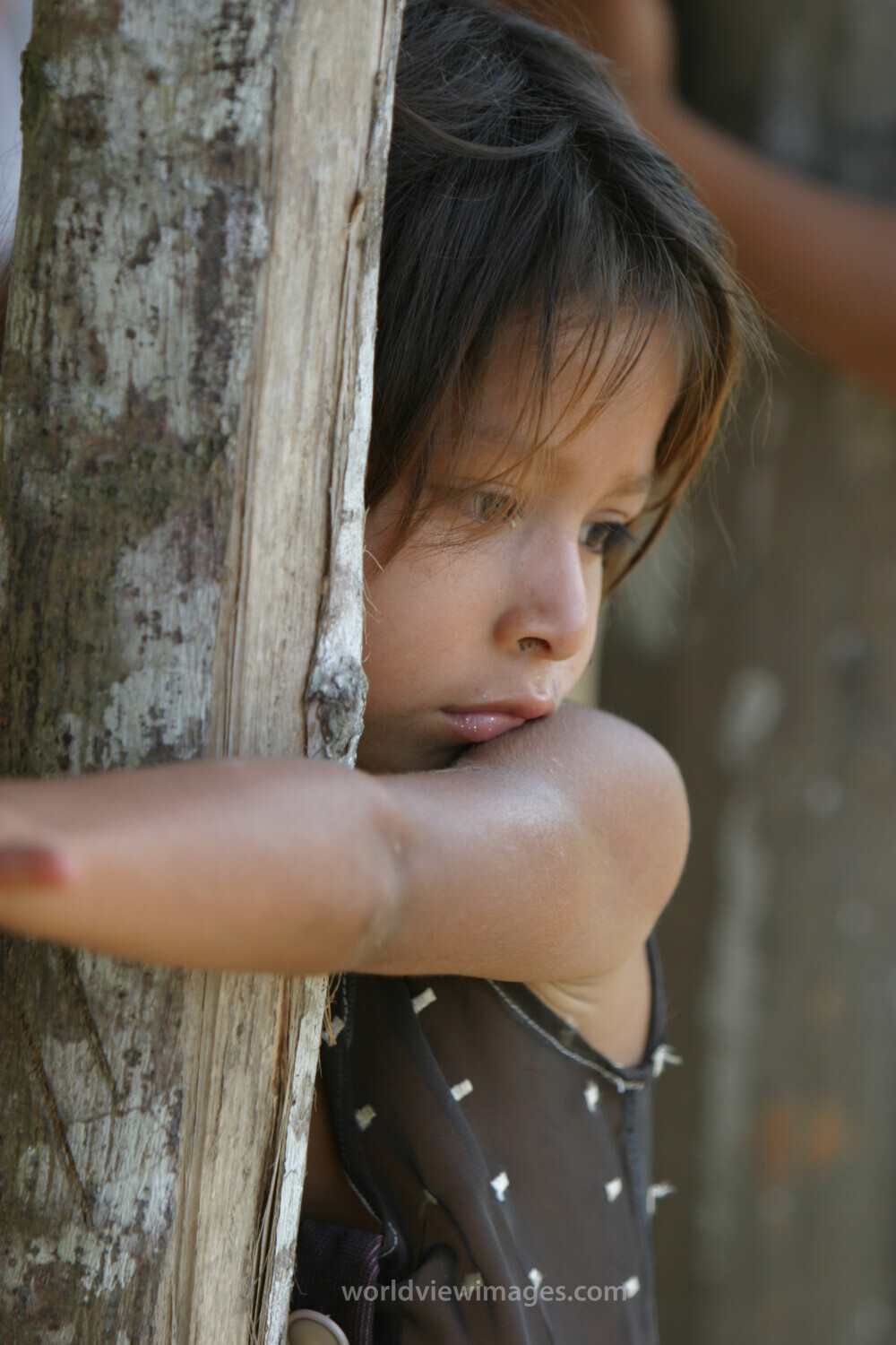 Amerindian Girl in Peru
