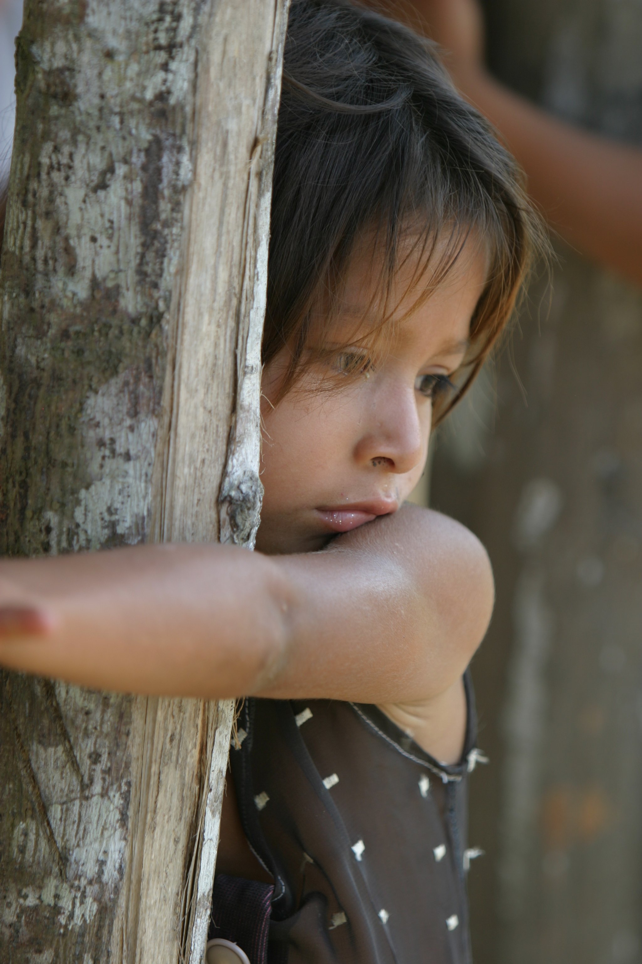 Amerindian Girl in Peru