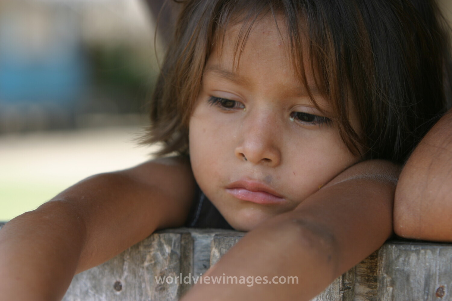 Amerindian Girl in Peru
