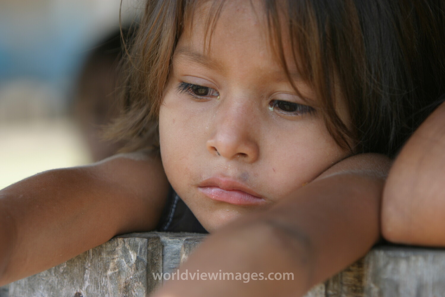 Amerindian Girl in Peru