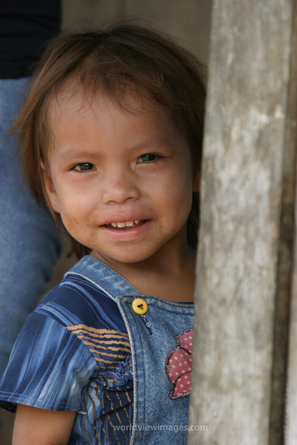 Amerindian Girl in Peru