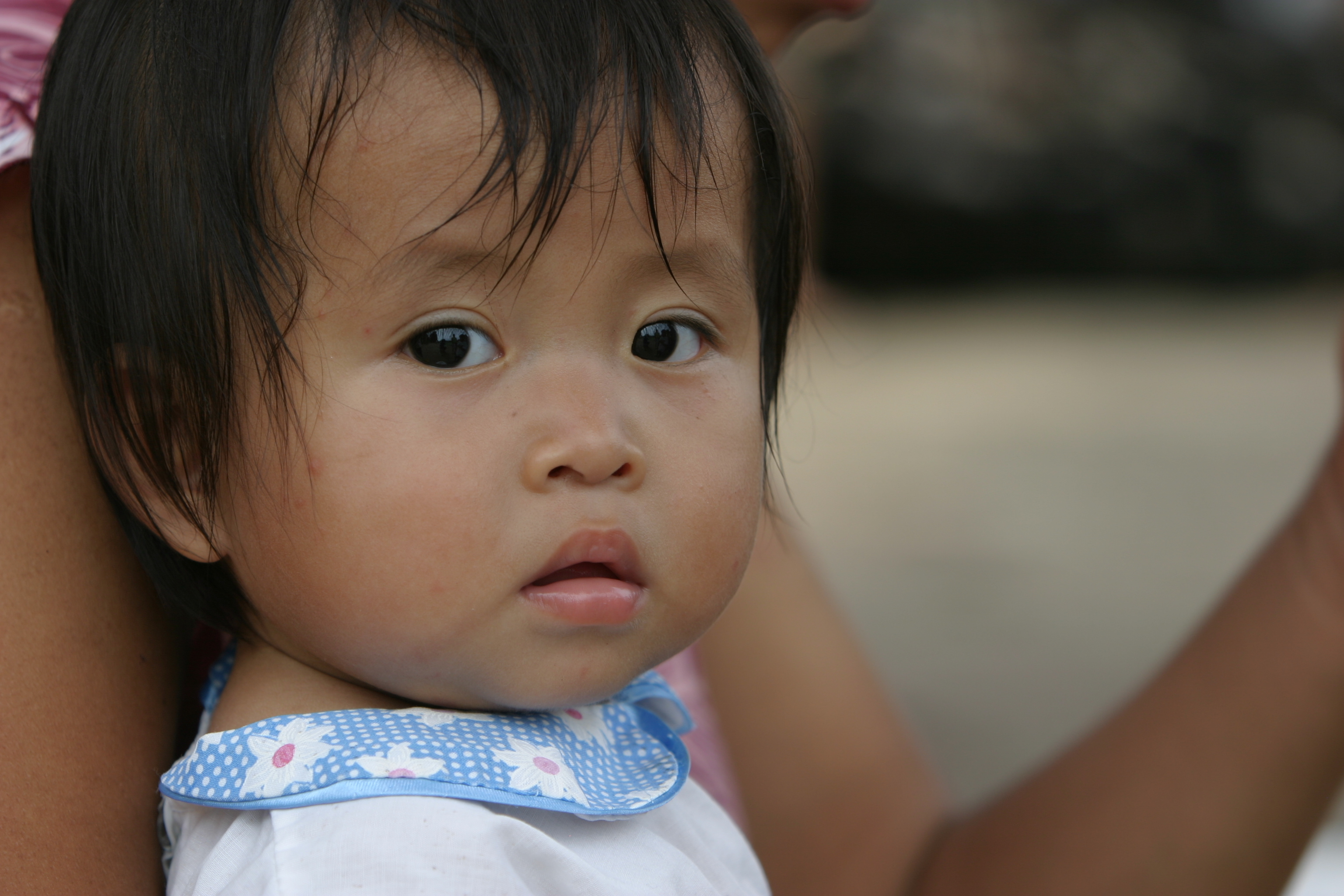 Amerindian Girl in Peru