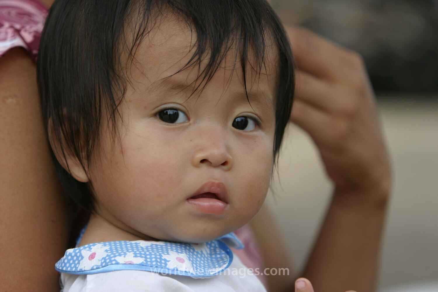Amerindian Girl in Peru