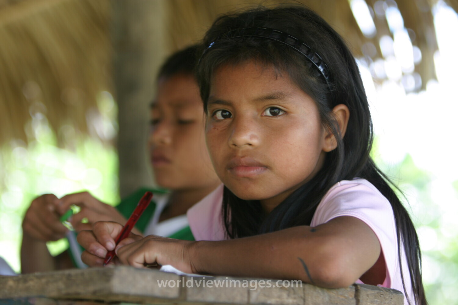 Amerindian Girl in Peru