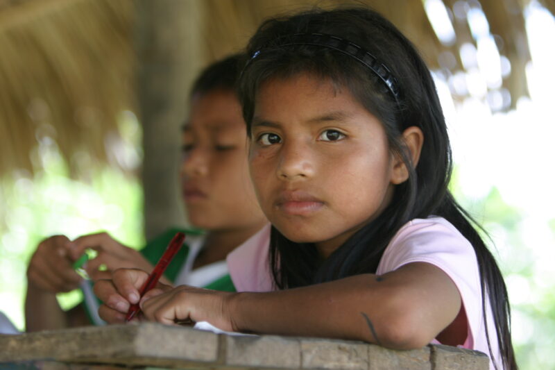 Amerindian Girl in Peru — Amerindian girls of the Shipibo group, living in the jungles of Peru, along the Ucayali River. — Peru, Poverty, Shipibo Indians, Uc...