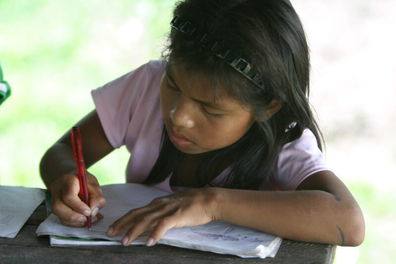 Amerindian Girl in Peru — Amerindian girls of the Shipibo group, living in the jungles of Peru, along the Ucayali River. — Peru, Poverty, Shipibo Indians, Uc...