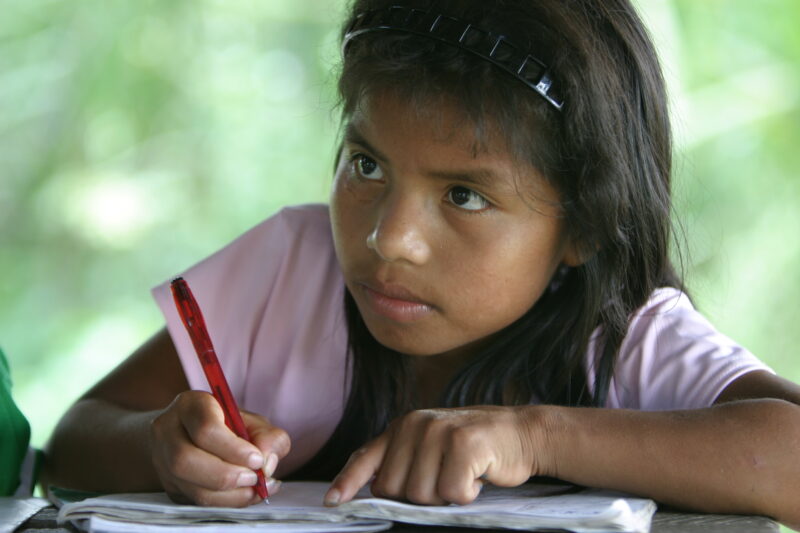 Amerindian Girl in Peru — Amerindian girls of the Shipibo group, living in the jungles of Peru, along the Ucayali River. — Peru, Poverty, Shipibo Indians, Uc...