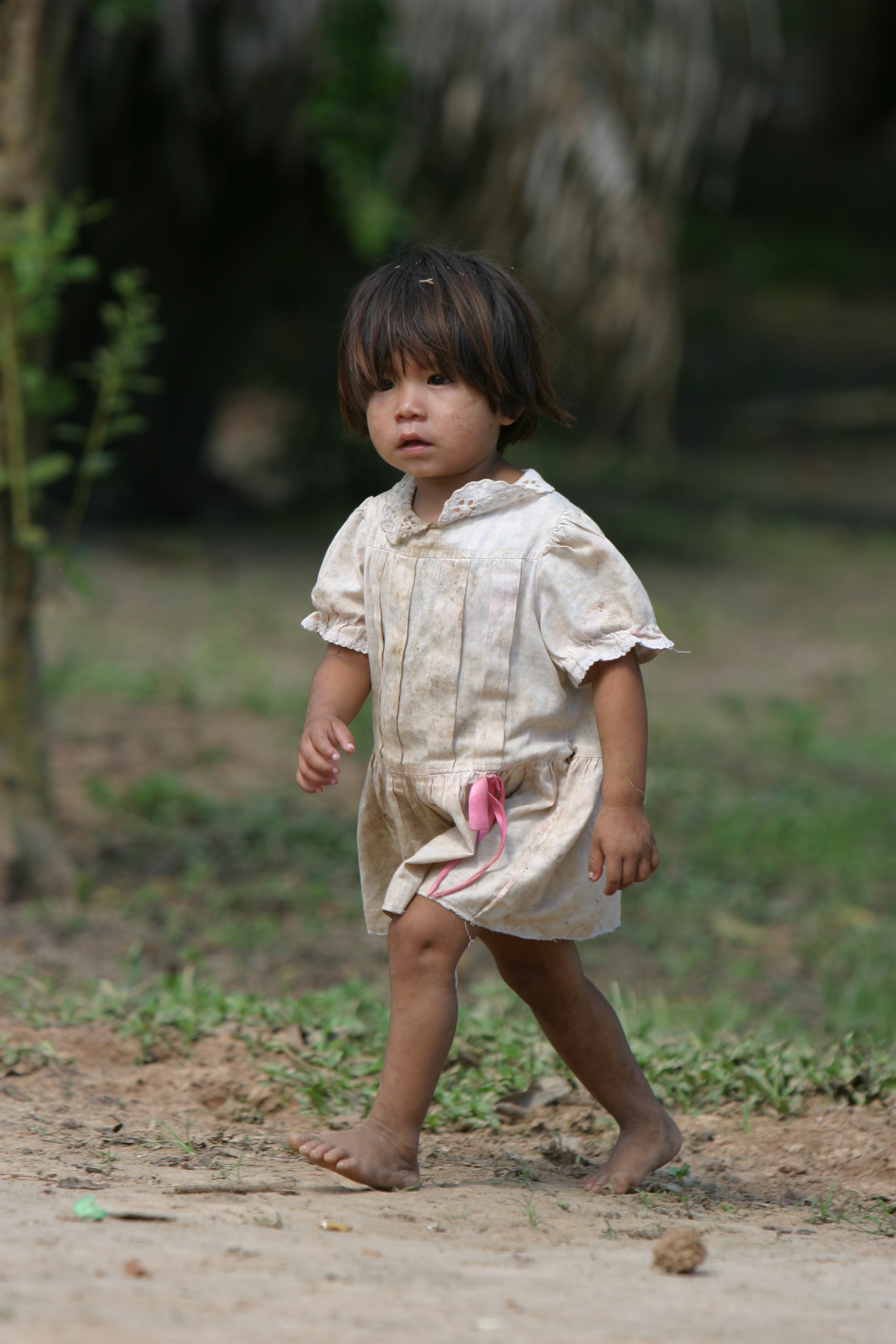Amerindian Girl in Peru