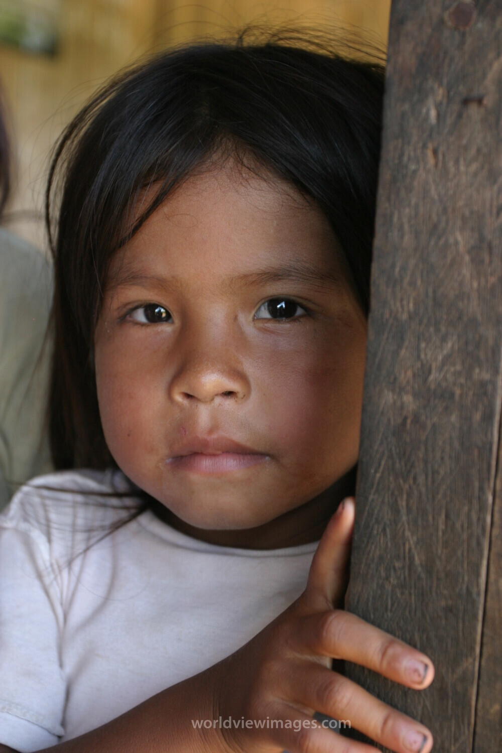 Amerindian Girl in Peru