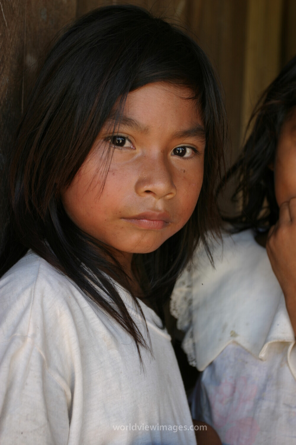 Amerindian Girl in Peru