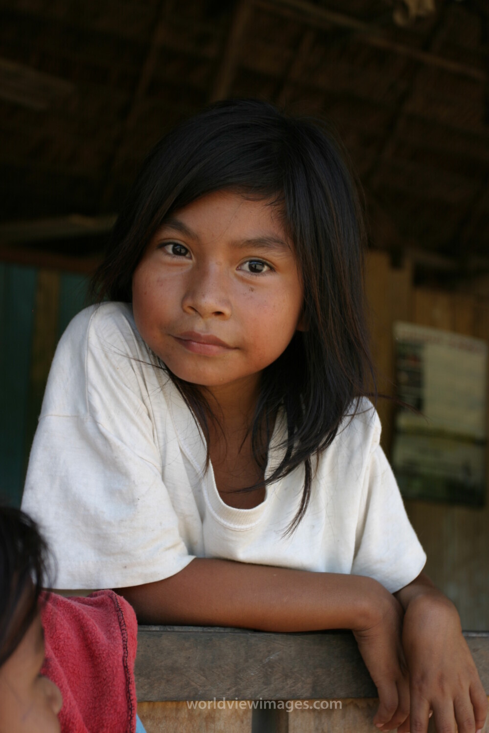 Amerindian Girl in Peru