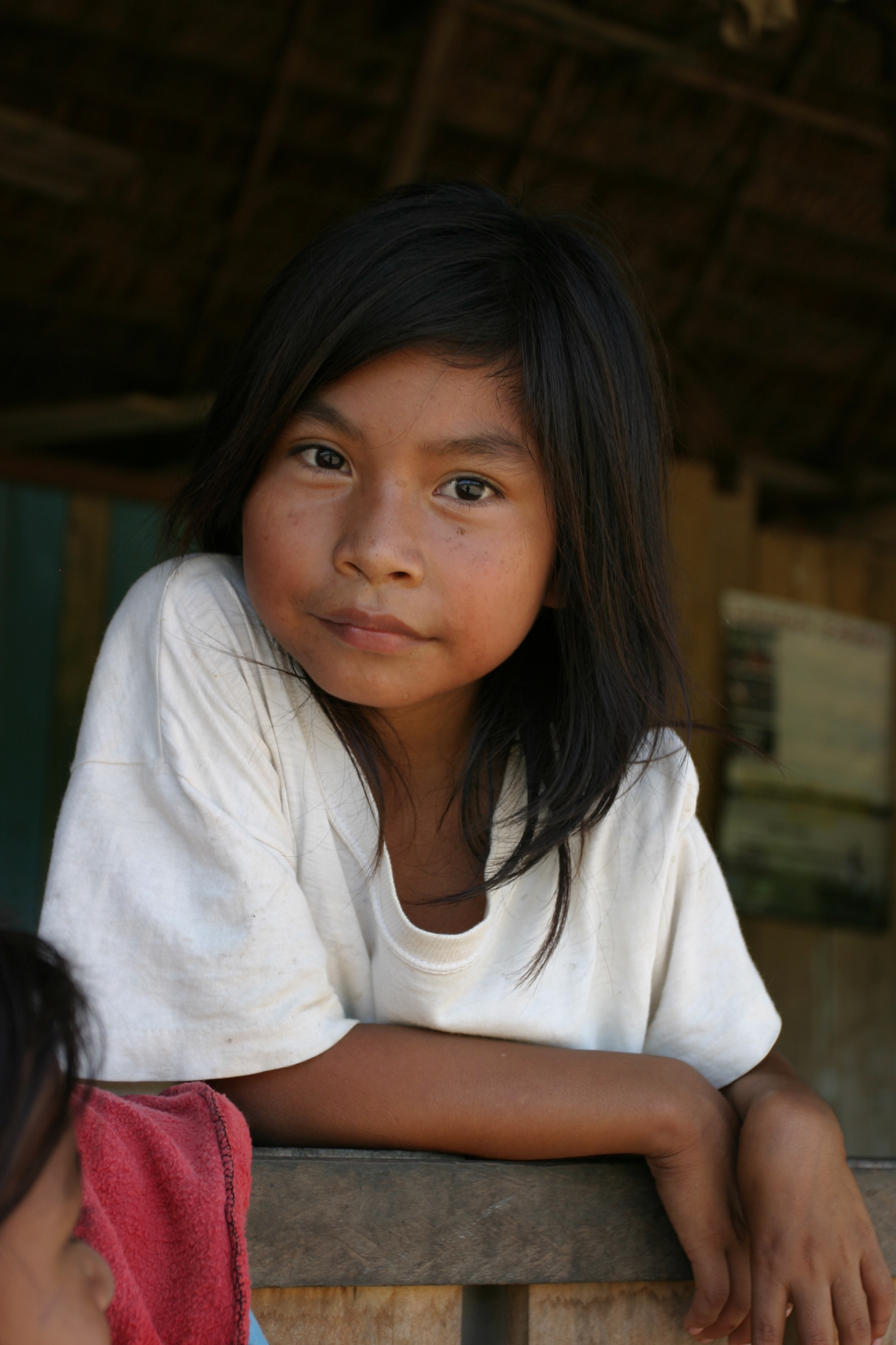 Amerindian Girl in Peru